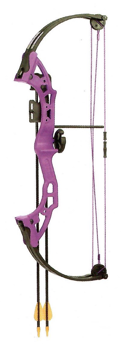 HORIZONE FARSIGHT COMPOUND YOUTH BOW SET 15LB  DRAW WEIGH ....23'' DRAW LENGTH 